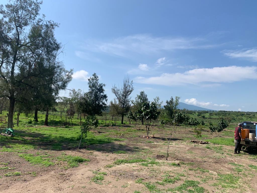 Alcalde de Degollado Jalisco recupera parque conocido como “La presa de ...