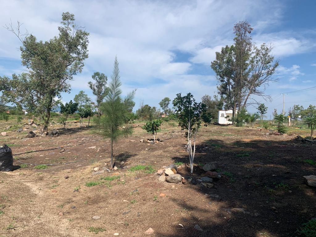Alcalde de Degollado Jalisco recupera parque conocido como “La presa de ...
