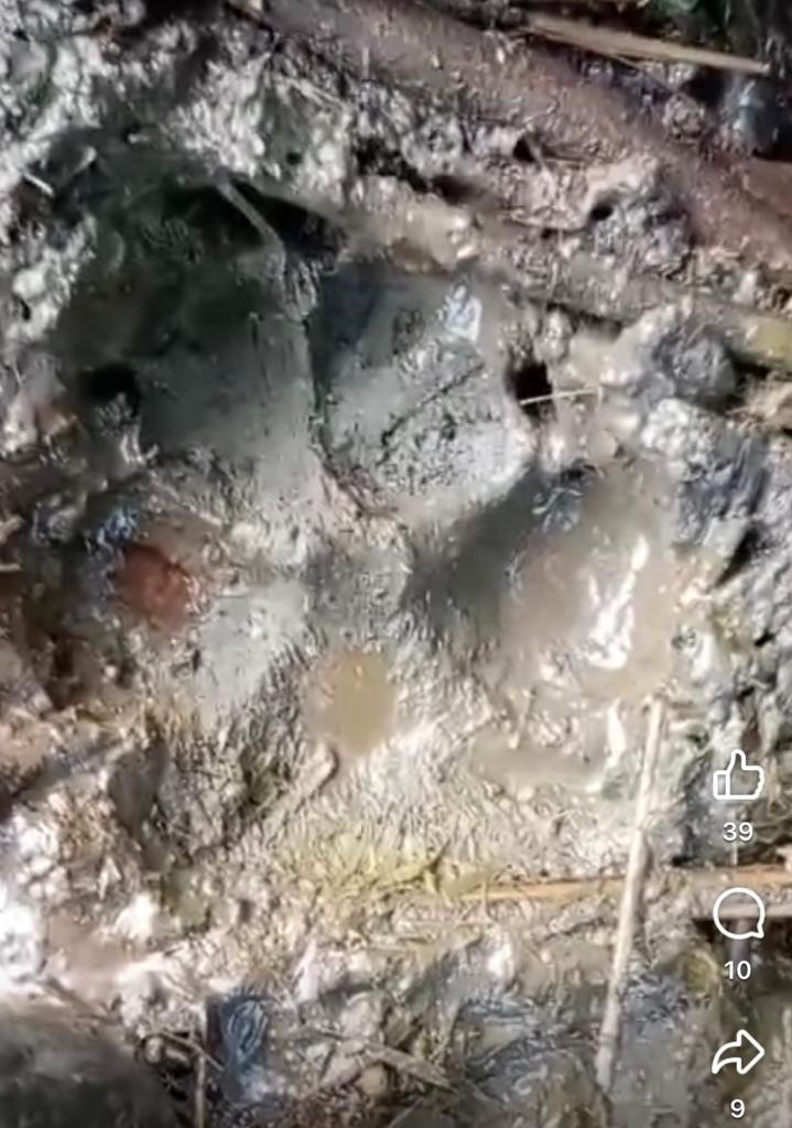 Imagen tomada de uno de los videos compartidos en redes sociales.