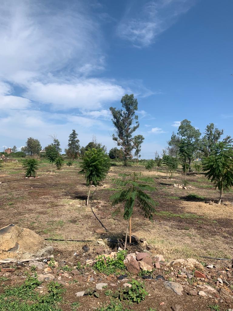 Alcalde de Degollado Jalisco recupera parque conocido como “La presa de ...